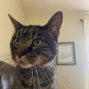 Meet your Posher, Mike